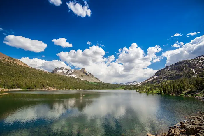 Ellery Lake Campground 7