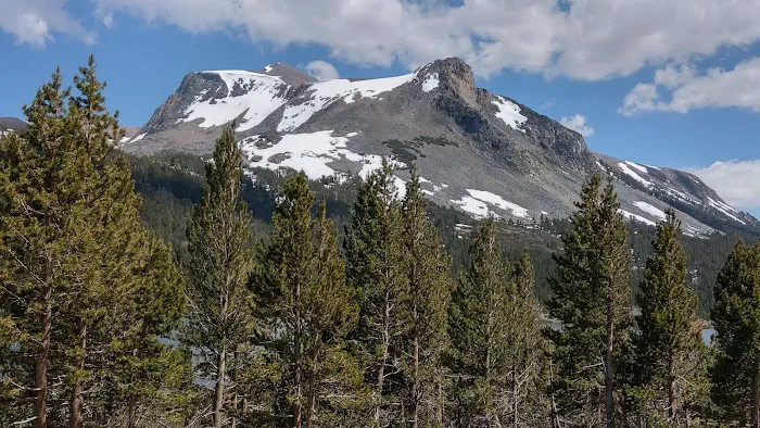 Ellery Lake Campground 9