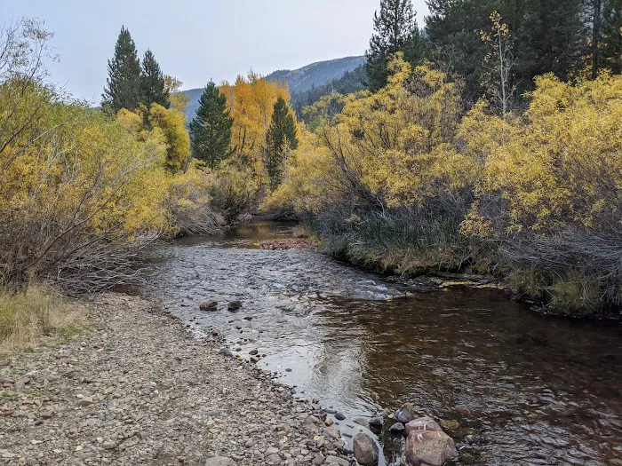 Aspen Campground 5