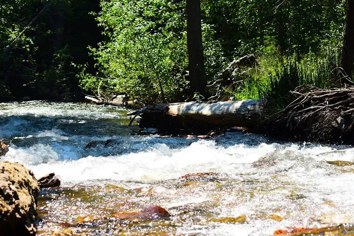 Aspen Campground 9