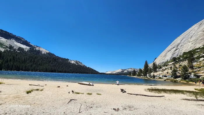 Tioga Lake Campground 1