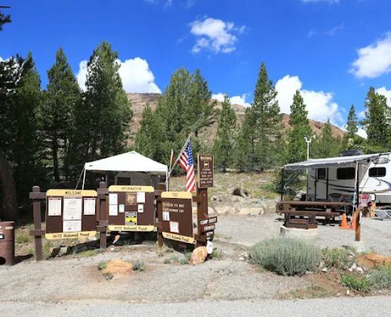 Tioga Lake Campground