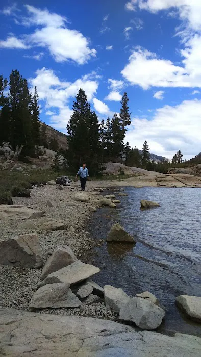Tioga Lake Campground 5