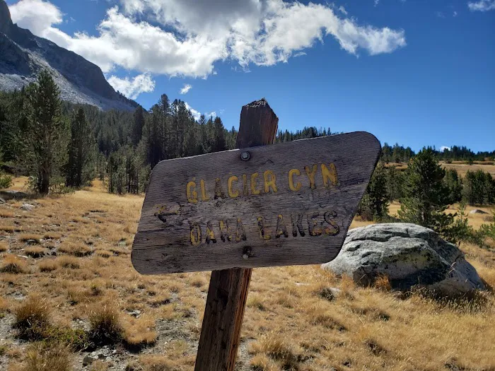 Tioga Lake Campground 6