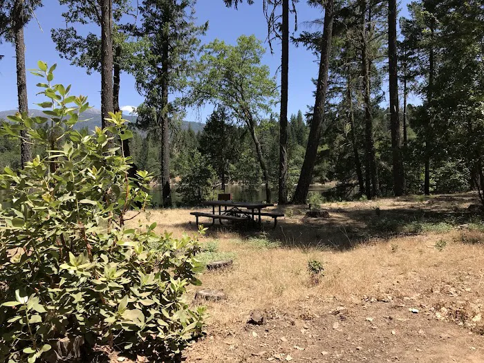 Pine Point Picnic 4