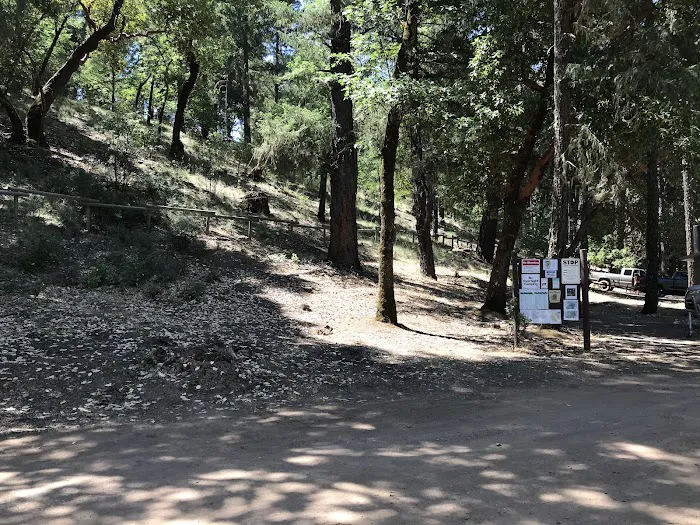 Pine Point Picnic 8