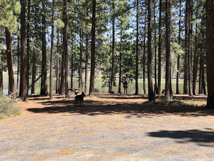 Dog Lake Campground 2