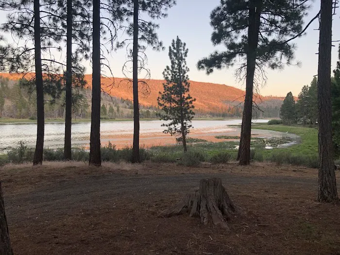 Dog Lake Campground 3