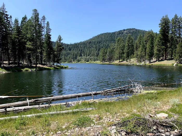 Camp Cottonwood Campground 2