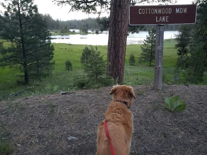 Camp Cottonwood Campground 4