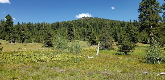 Camp Cottonwood Campground 6