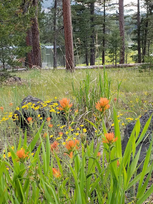 Camp Cottonwood Campground 7
