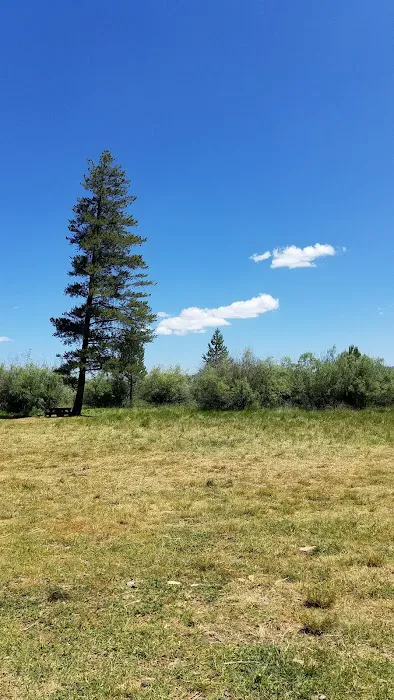 Dairy Creek Campground 3