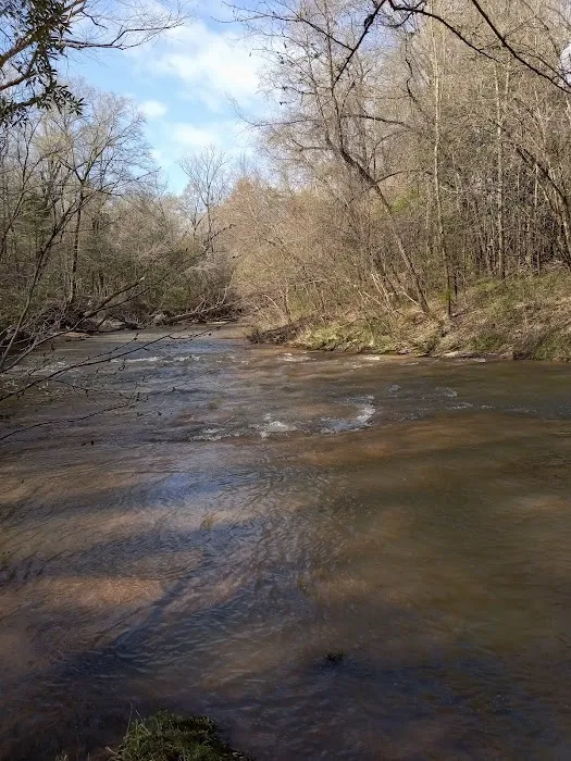 Tuskegee National Forest Campsite #1 2