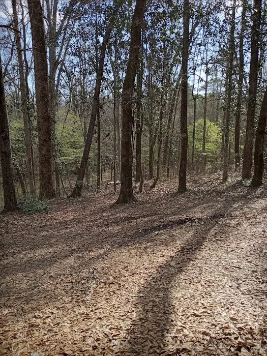 Tuskegee National Forest Campsite #1 0