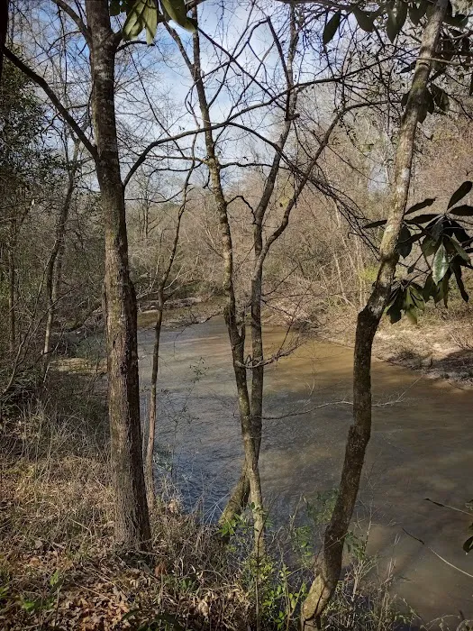 Tuskegee National Forest Campsite #1 1