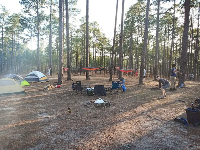 Tuskegee National Forest Campsite 12 0