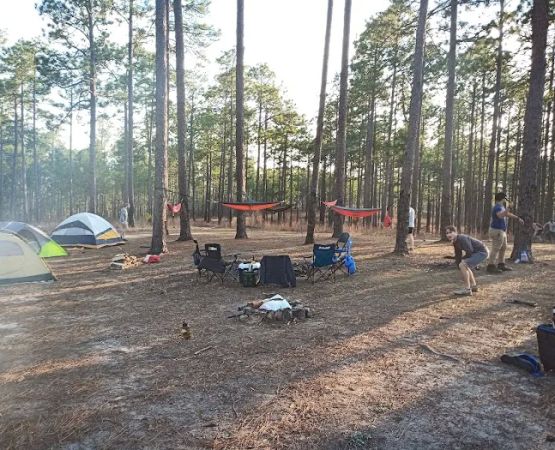 Tuskegee National Forest Campsite 12