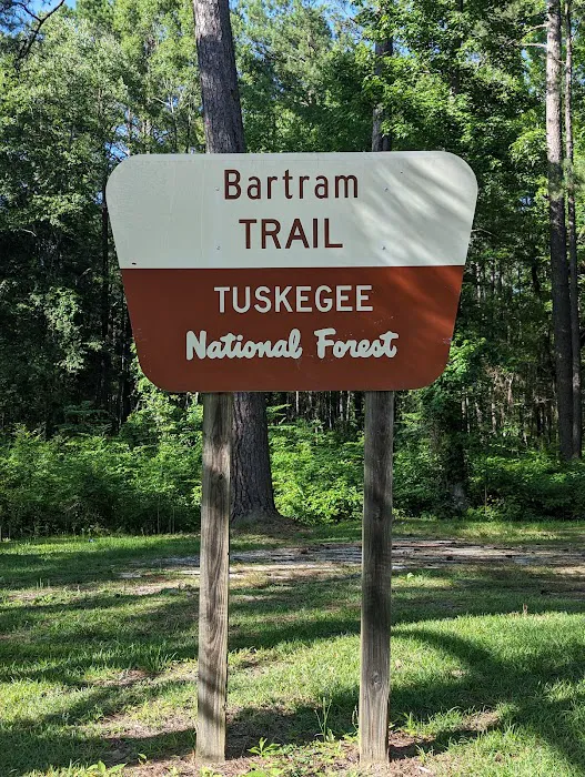 Tuskegee National Forest Campsite #11 1