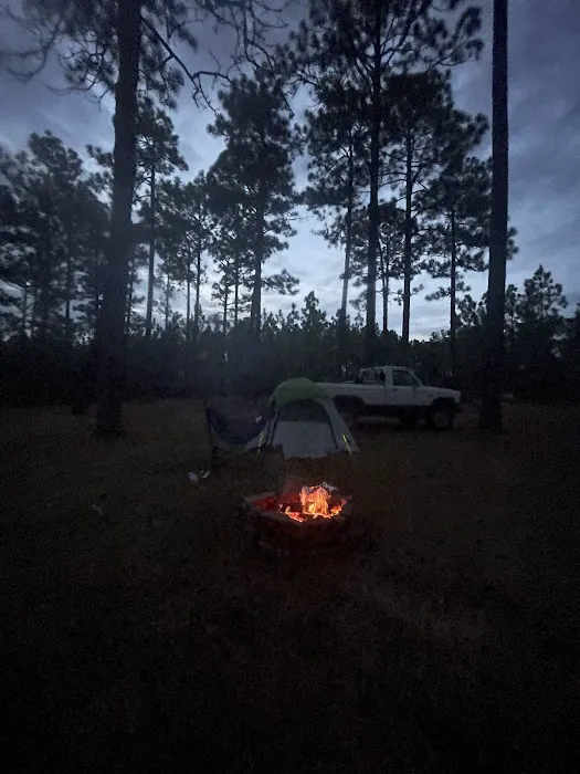 Tuskegee National Forest Campsite #11 3