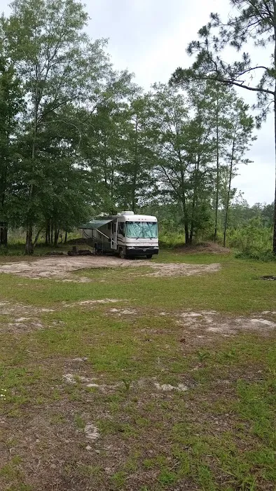 Tuskegee NF Tent Site #6 0