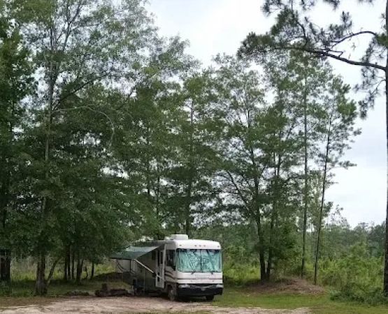 Tuskegee NF Tent Site #6