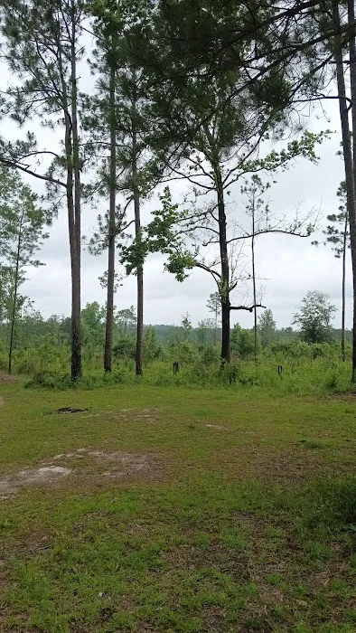 Tuskegee NF Tent Site #6 1