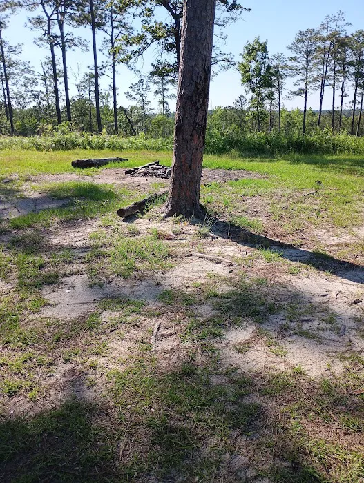Tuskegee National Forest Campsite #10 0