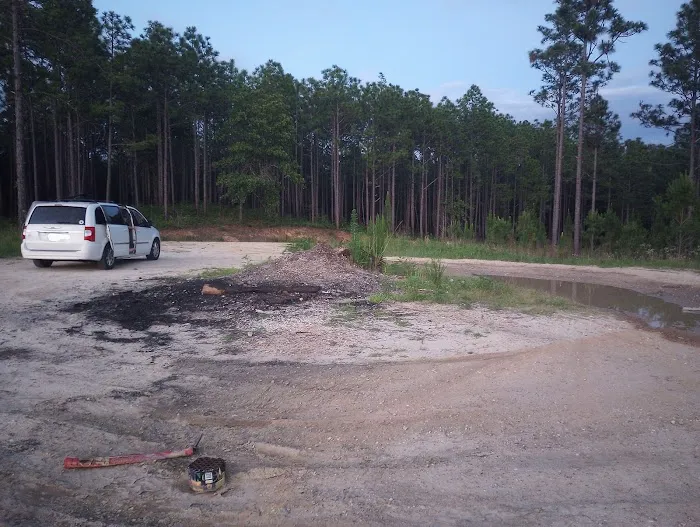 Tuskegee National Forest Campsite #8 1