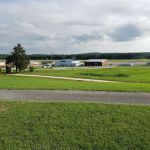 Tuskegee National Forest Campsite #8