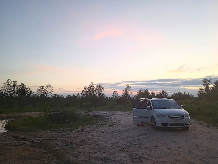 Tuskegee National Forest Campsite #8 3