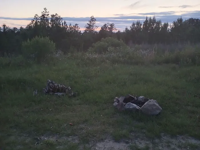 Tuskegee National Forest Campsite #8 7