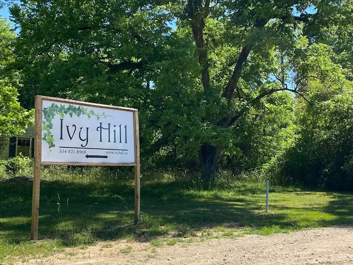 Ivy Hill 4