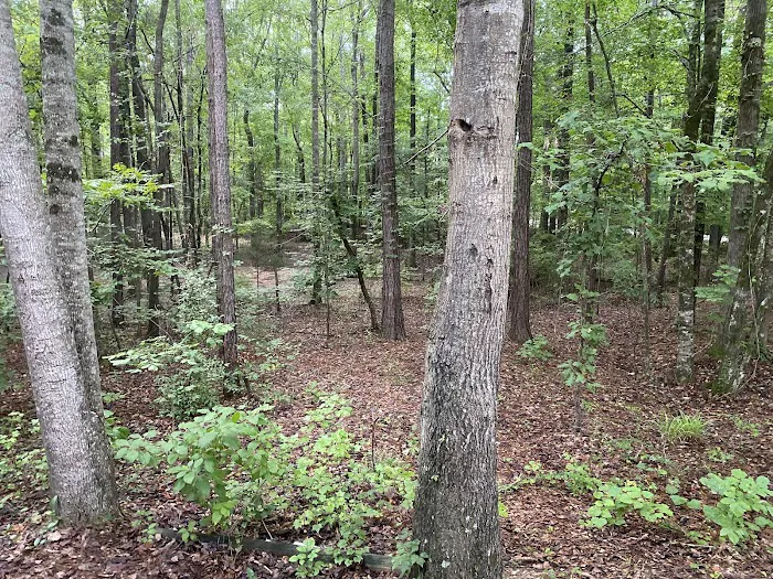 Chewacla State Park Campground 5