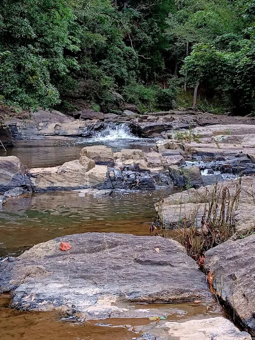 Chewacla State Park Campground 6