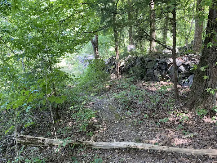 Chewacla State Park Campground 7