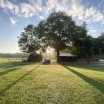 Montgomery KOA Journey