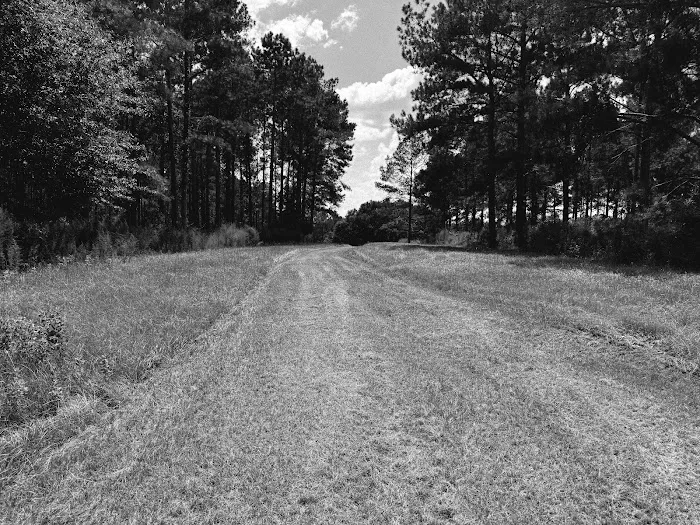 Pondview Acres Campground 6