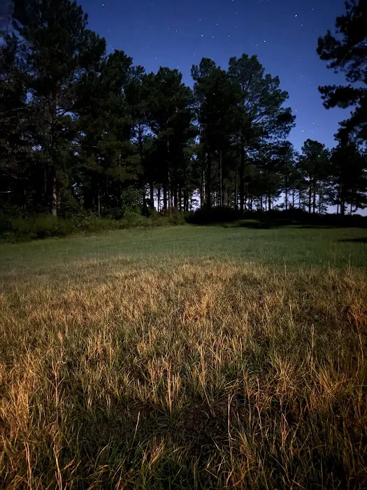 Pondview Acres Campground 7
