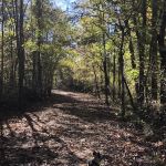 Spring Villa Campground