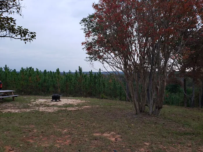Hidden Springs Campground 8
