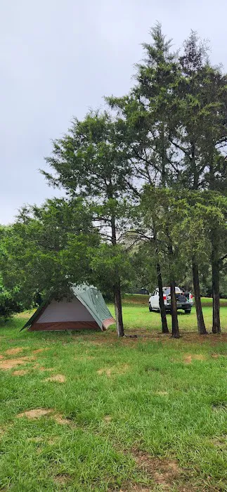 Camp Williams 4