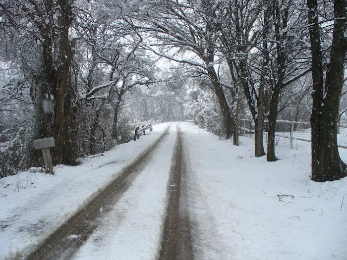 Lee's Country Campground 7