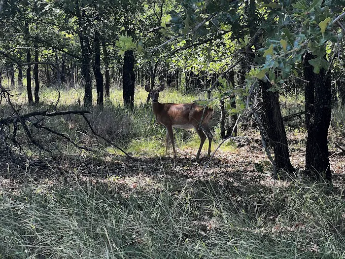 Deer Ridge Camping Loop 5