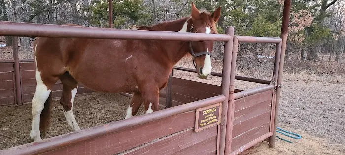Bluestem Grove Equestrian Camping 2