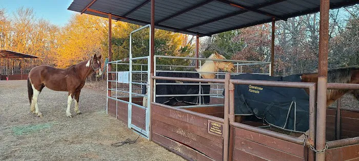 Bluestem Grove Equestrian Camping 1
