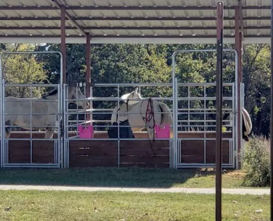 Bluestem Grove Equestrian Camping