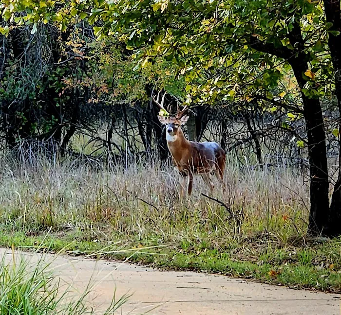 Quail Run Camping Loop 2