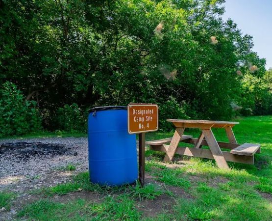 Erwin Park Campsite #4