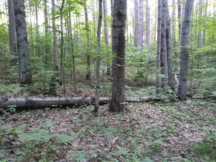 US Forest Service - Lakewood/Laona District 0